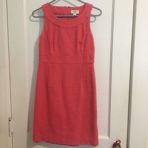 Ann Taylor LOFT Dress